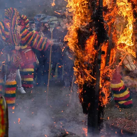 Boutique Wine Panorama Macedo de Cavaleiros