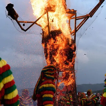 Boutique Wine Panorama