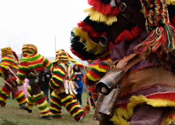 Panorama Boutique Wine Experience * Macedo de Cavaleiros