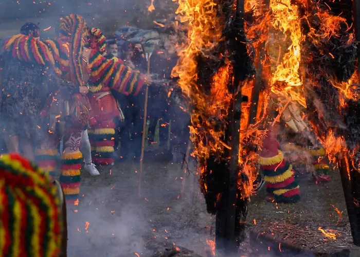 Panorama Boutique Wine Experience Macedo de Cavaleiros