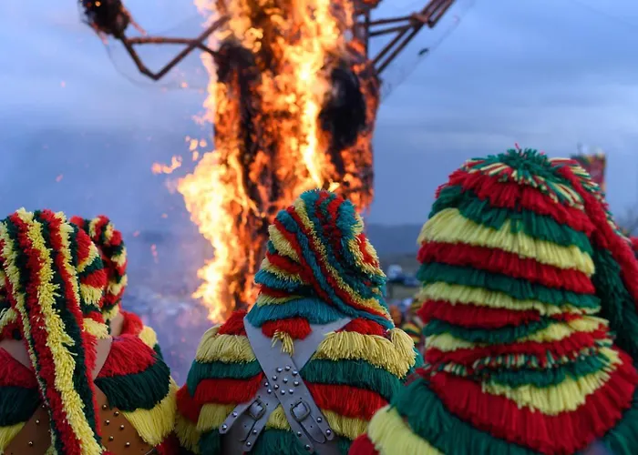 Panorama Boutique Wine Experience * Macedo de Cavaleiros