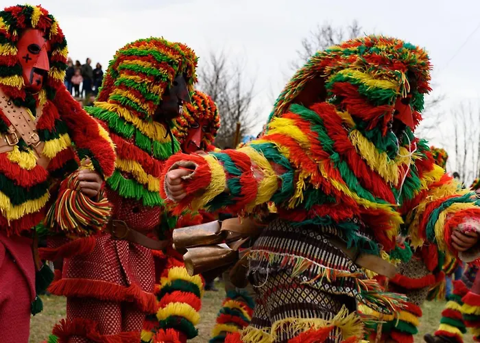Panorama Boutique Wine Experience Macedo de Cavaleiros